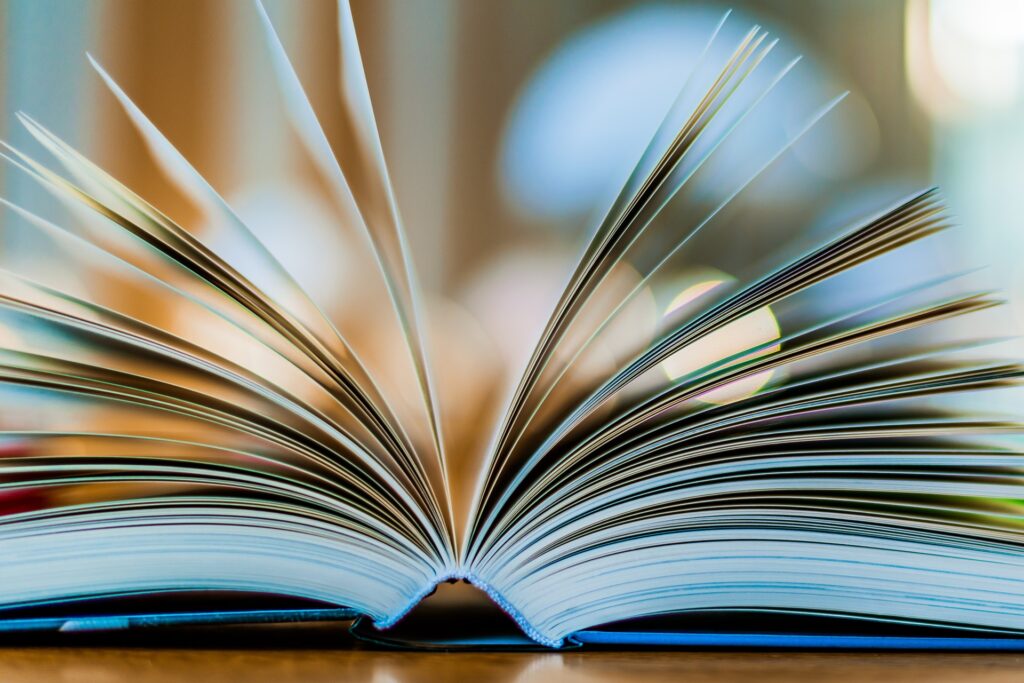 Industria del libro, la filiera ha incontrato il ministro Giuli: “Avanti con il sostegno alla domanda di lettura e nuove misure per la crescita delle aziende”